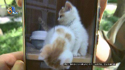 DƬ